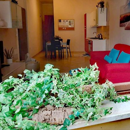 Brisa Marina Apartment Alghero Dış mekan fotoğraf